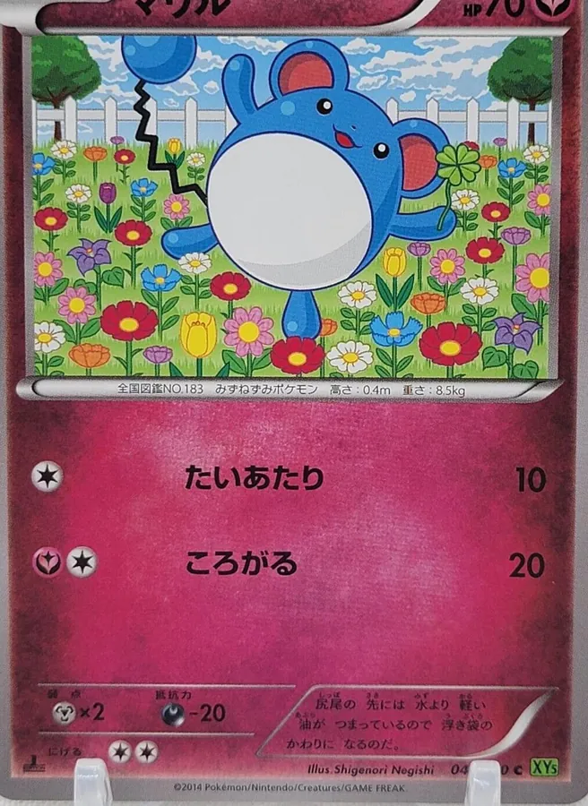 Marill [1st-Edition]